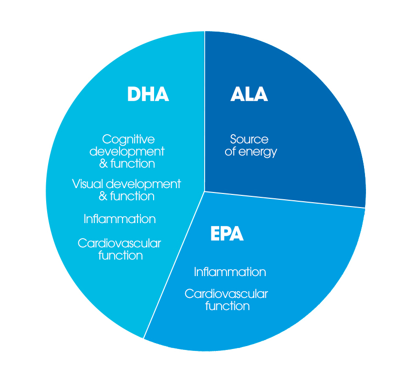 Eqology FAQ